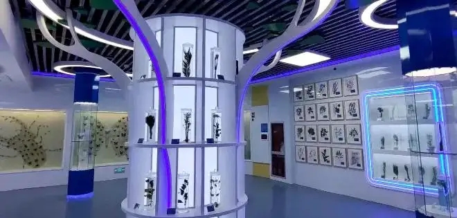展會設(shè)計 ， 展會 ， 鑫時空